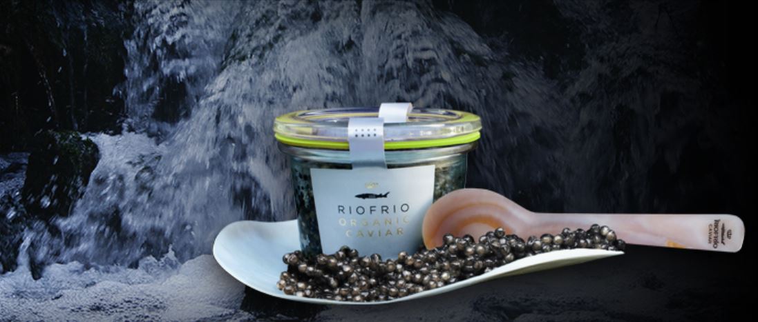 Caviar-tur til Rio Frio 30. oktober med 123 Tours