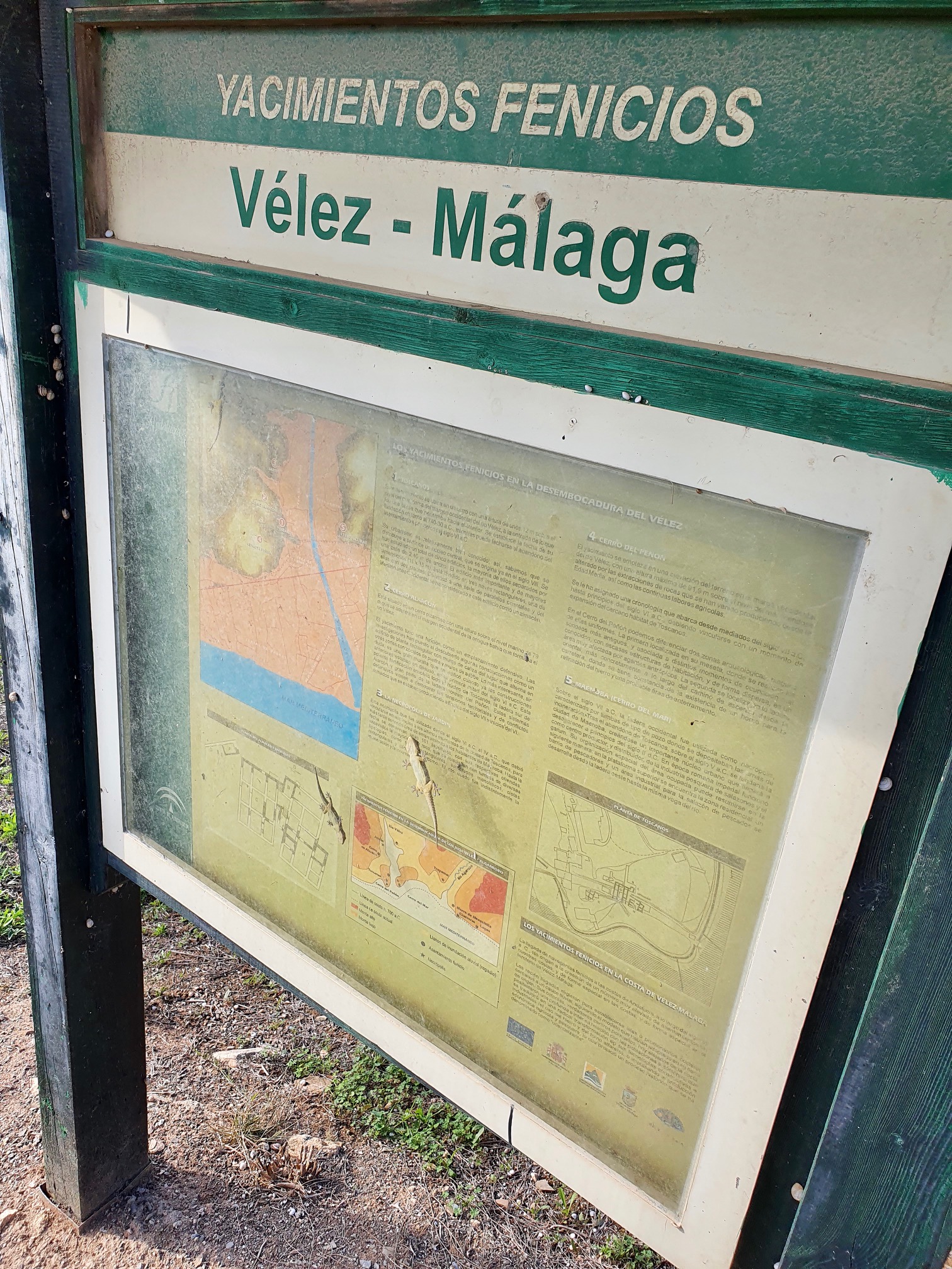 1.12-20 Torre del Mar 1