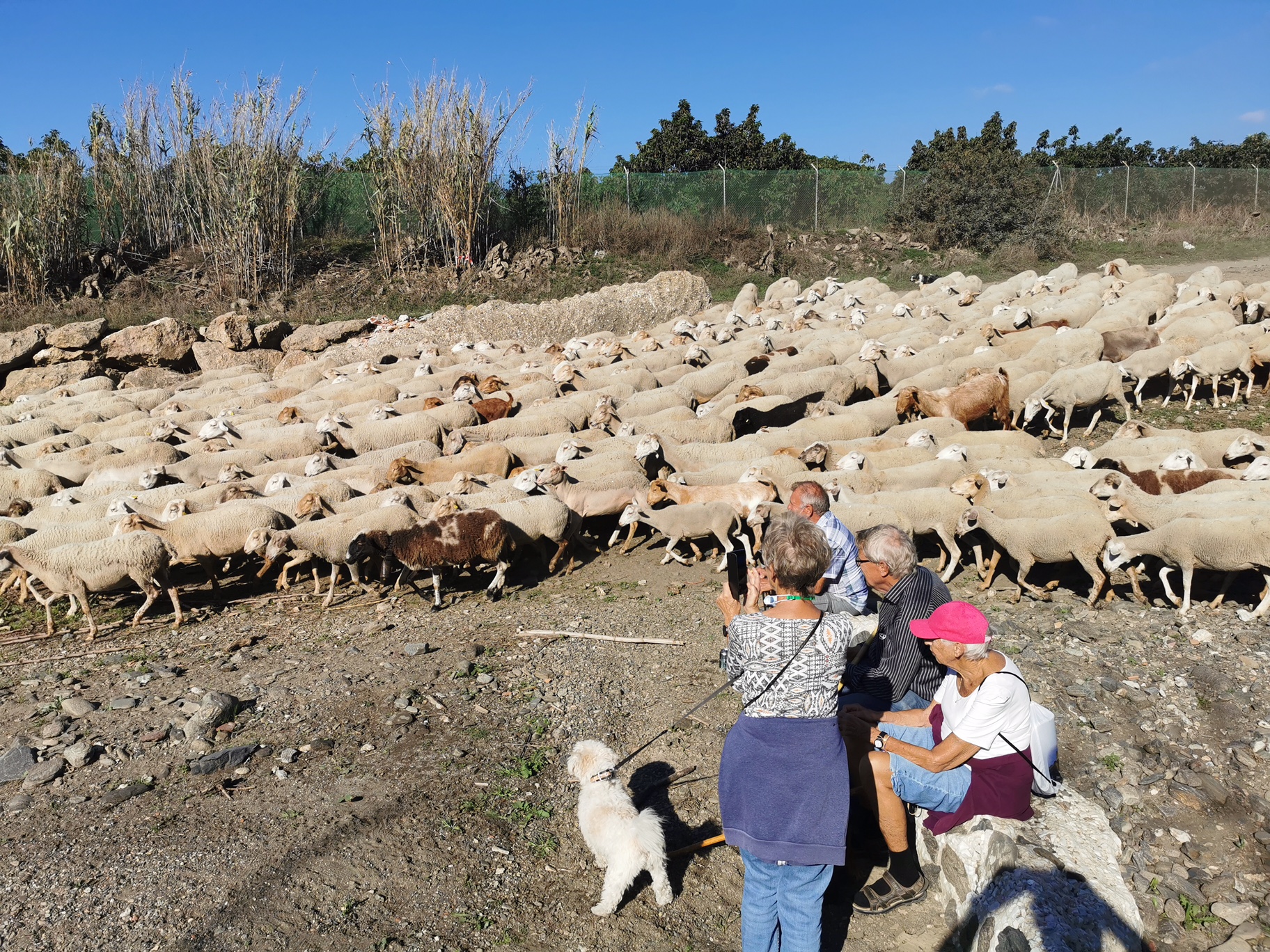 17.11-20 Liljemarken 1