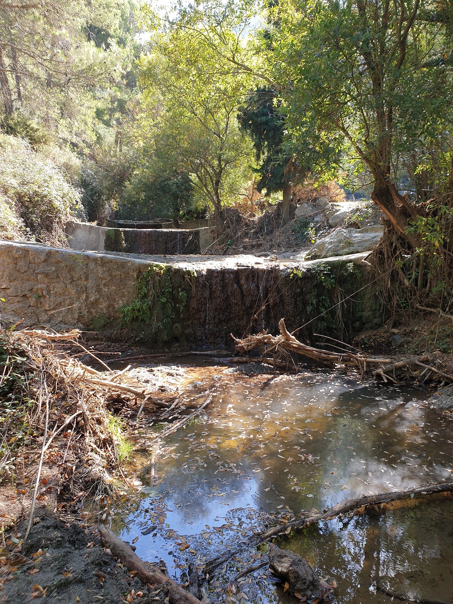 Alcaucin 8 oktober  2019 1