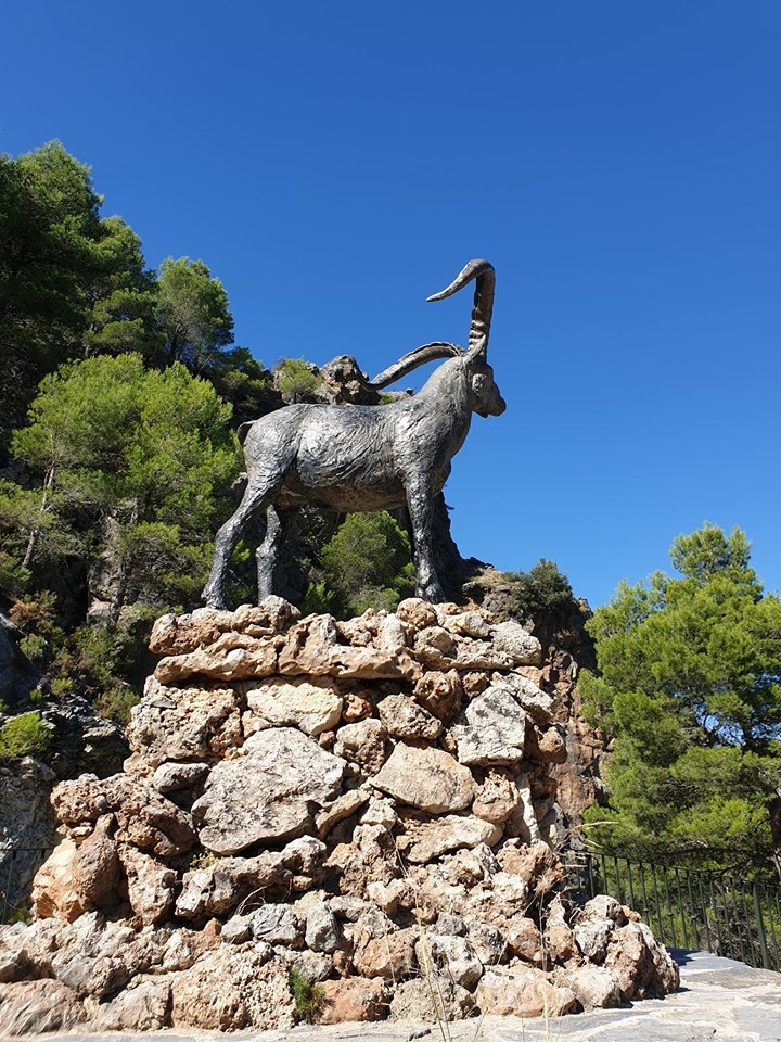 Alcaucin 8 oktober  2019 2