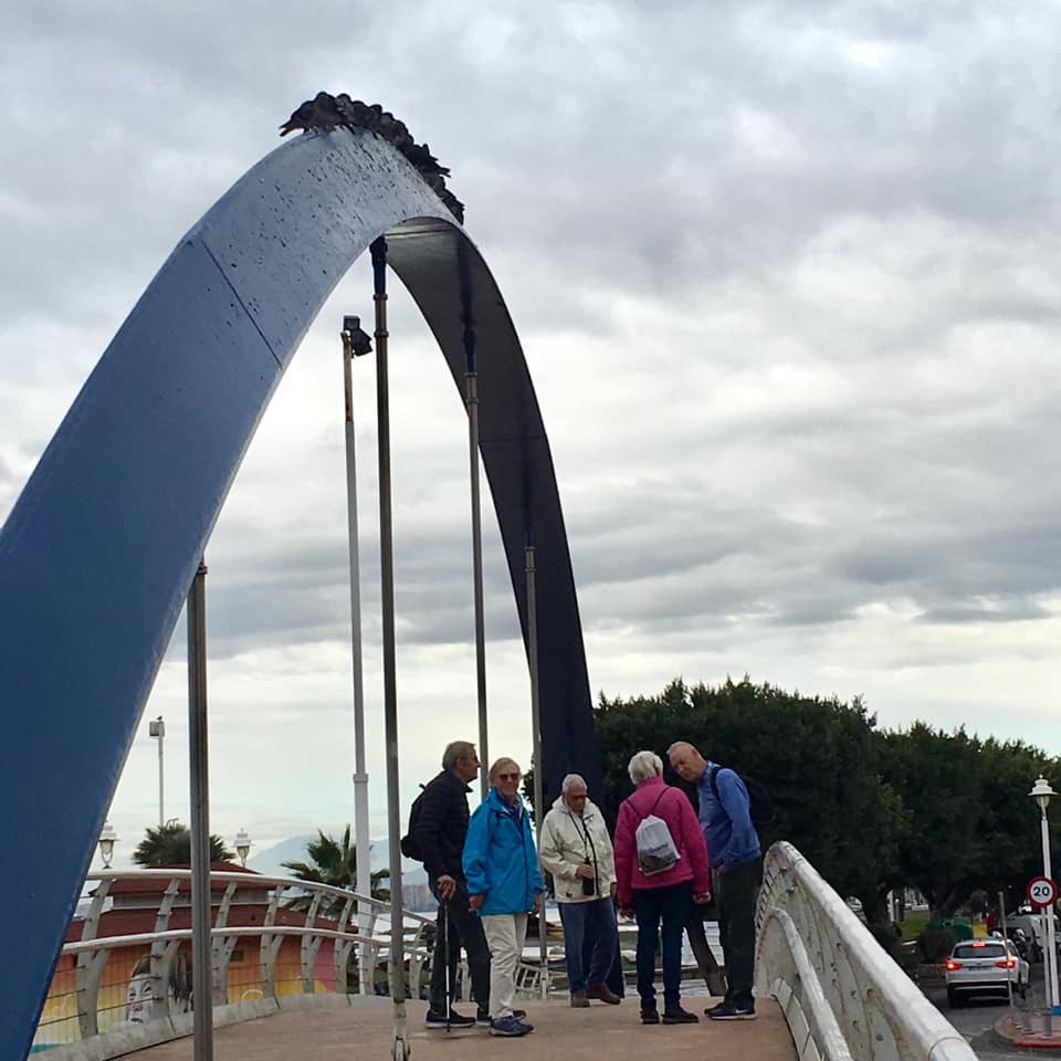 El Palo December 2019 2