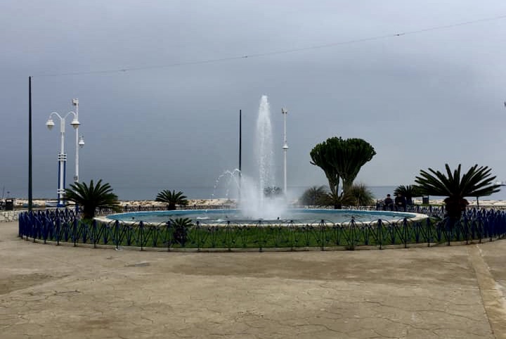 El Palo December 2019 3