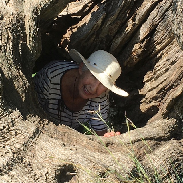 Velez-malaga 4februar 2020-2