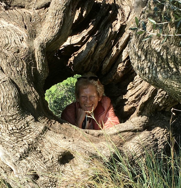 Velez-malaga 4februar 2020-3